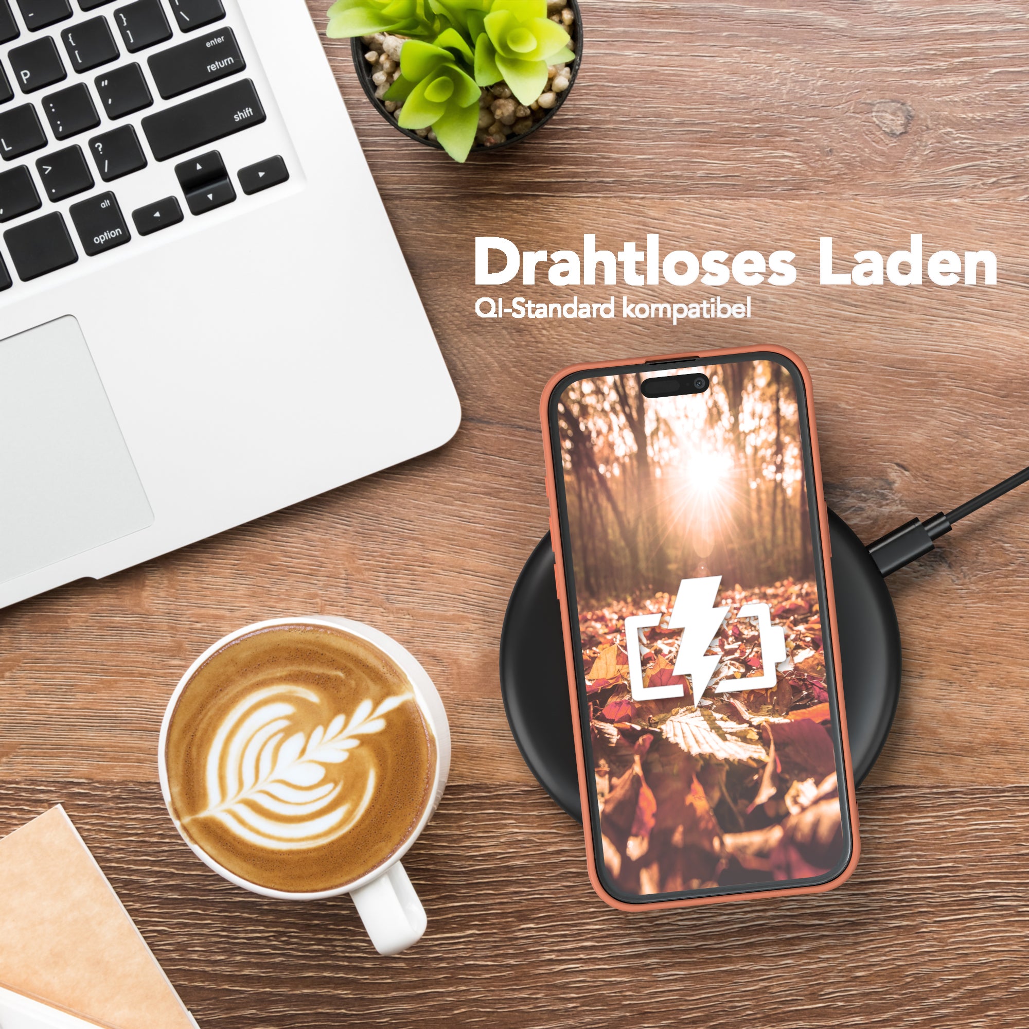 iPhone 16 Plus Silikonhülle
