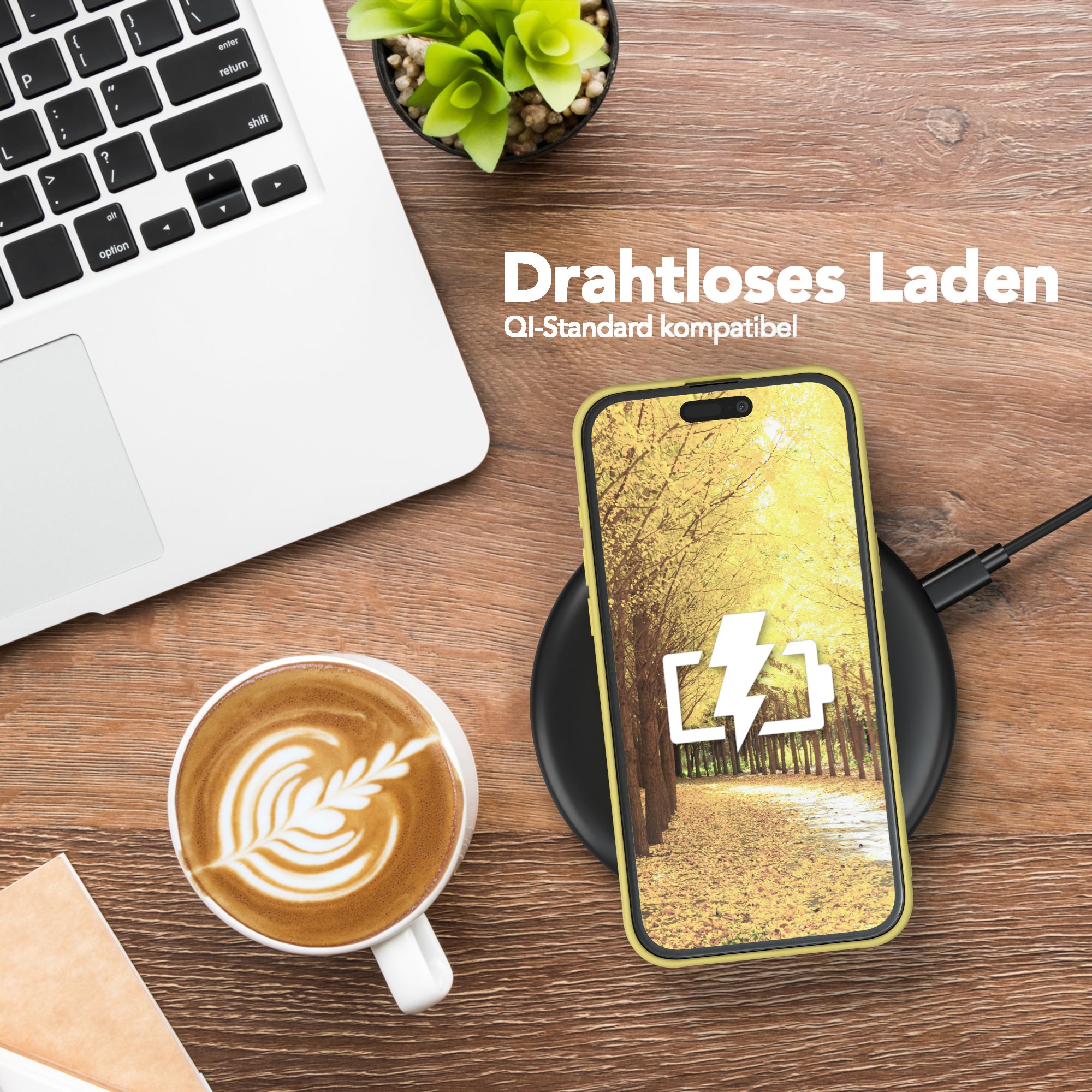 iPhone 16 Plus Silikonhülle
