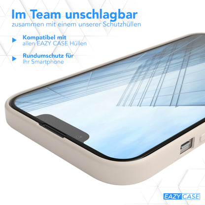 2x iPhone 13 Pro Glasfolie